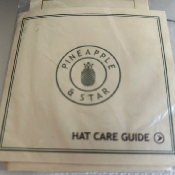 PINEAPPLE STAR BLACK FEDORA - Picture 6 of 6